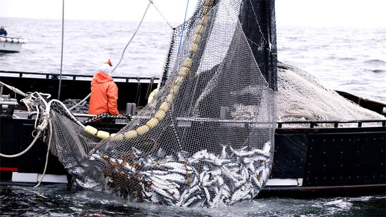 Fishing Boat